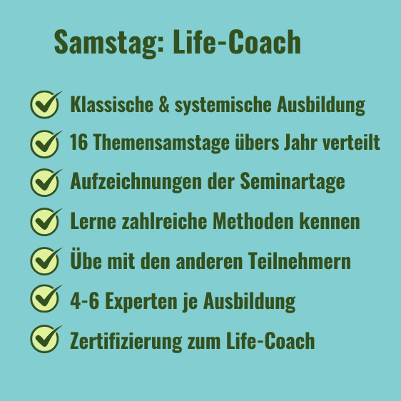 Life Coach Programm Türkis