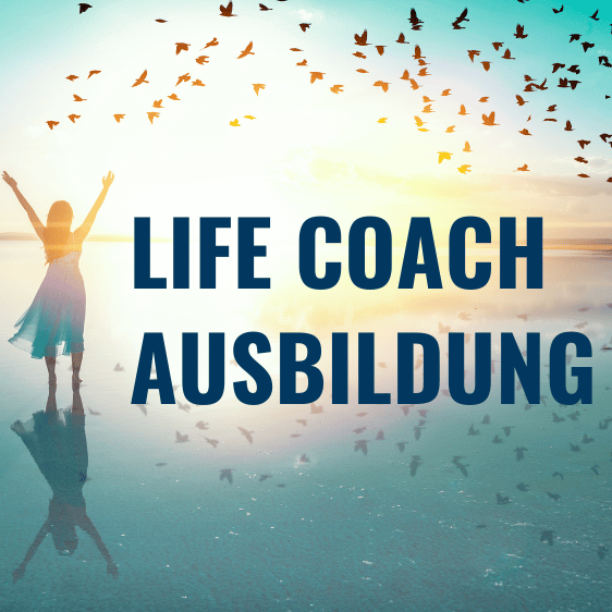 Life Coach Cover Türkis