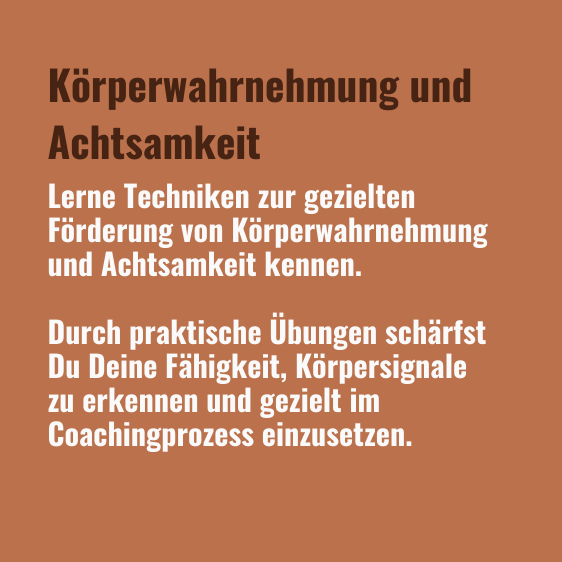 Somatisches Coaching Text 2